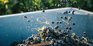 How Is Rosé Wine Made?