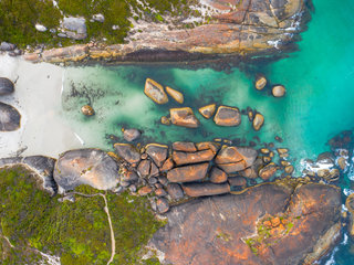 Our Guide to the Great Southern