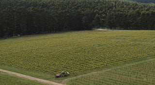 Aerial view of a tractor in a vineyard surrounded by trees