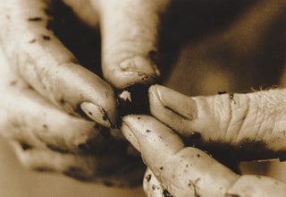 Close-up of a hand holding a small object with a blurred background