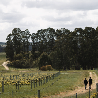 Two people walking along a dirt path in a rural area with trees and fields.