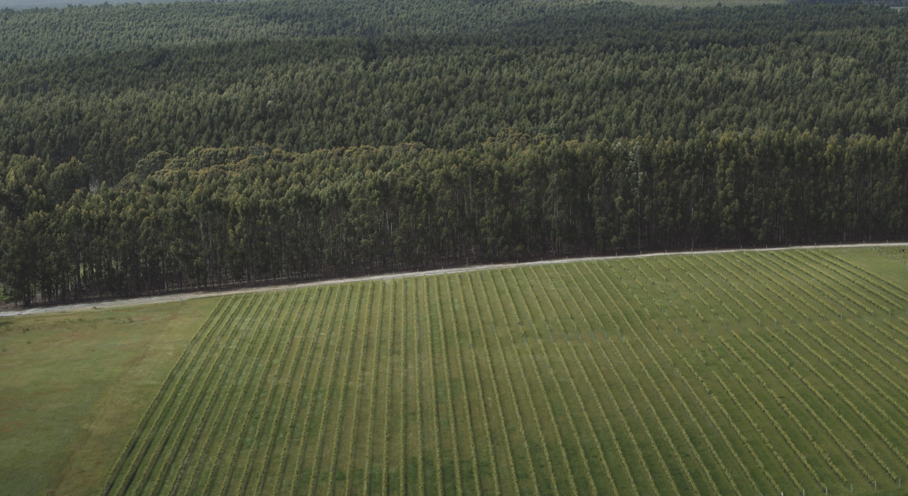 Regional Video of the Great Southern region